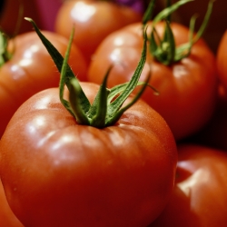 Pomidor Czerwony  ~1kg (4-5 Sztuk)